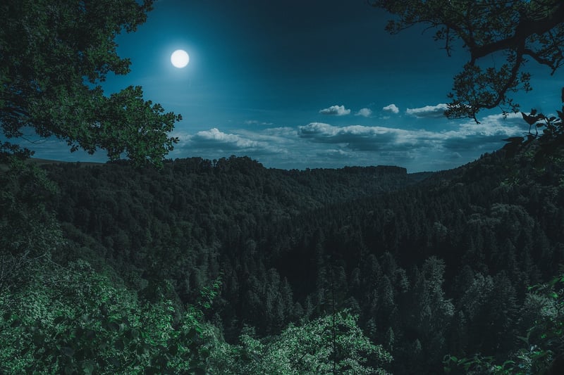 Full Moon Unions