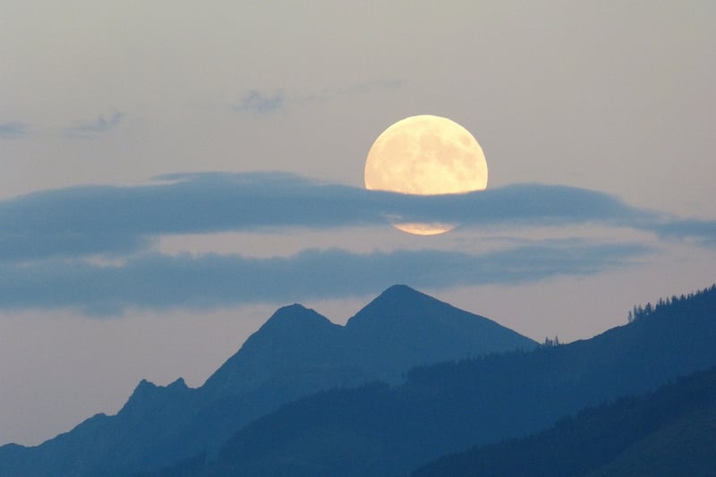 Moonlit Celebration Image